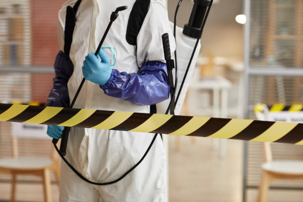 Professional Hoarding Cleanup technician working in Yelm, WA