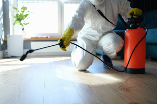 Reliable Hoarding Cleanup contractor in Yelm, WA by Dulley Family Biohazard Services